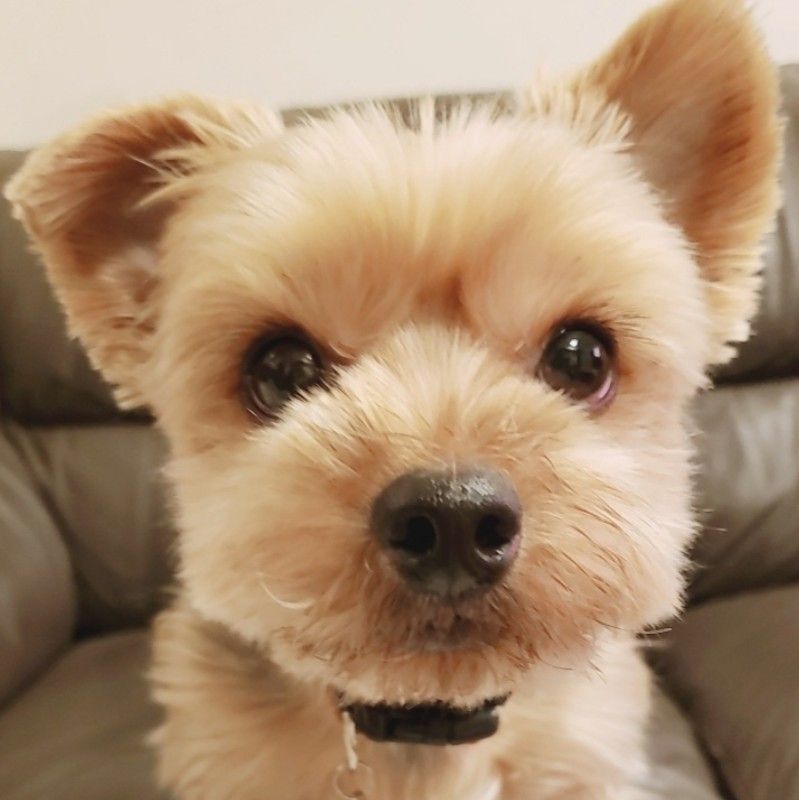 平山美恵 김미혜