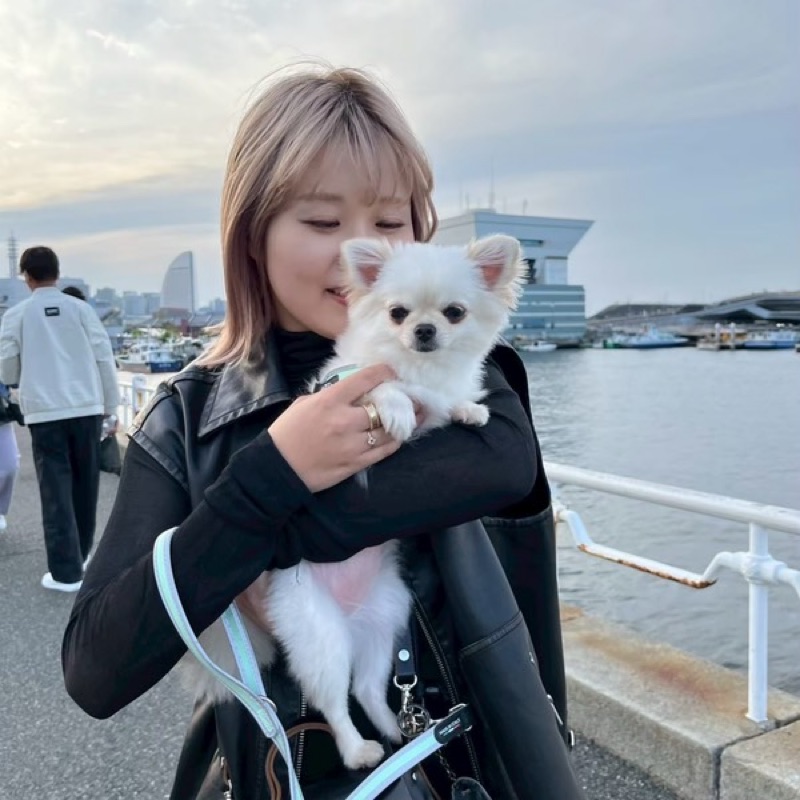 Lisako（大島理紗子）