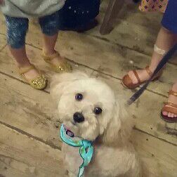 コージ(社労士、大学講師、不動産、株投資