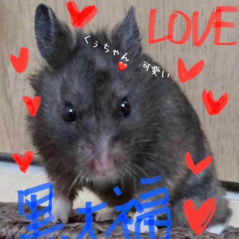 ゆきえ