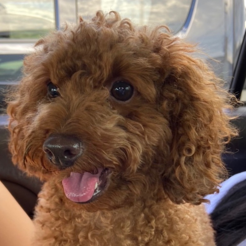 むらもっちゃん