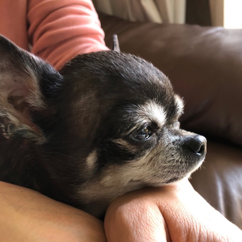 いわはらともゆき