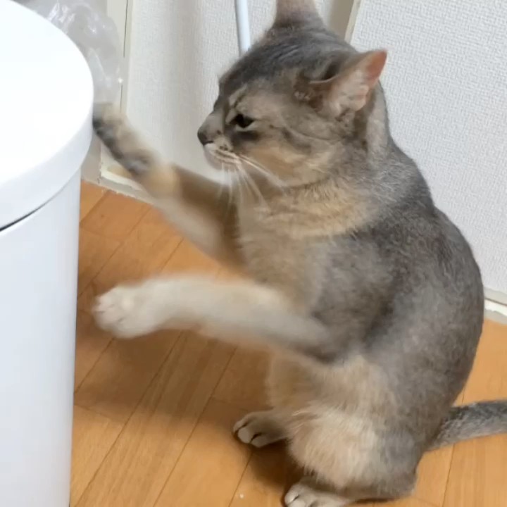 むらかみけんじ