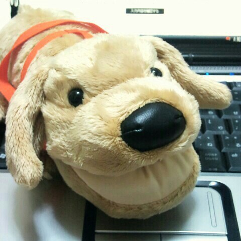 ケアプランセンターひまわりしゃちょー