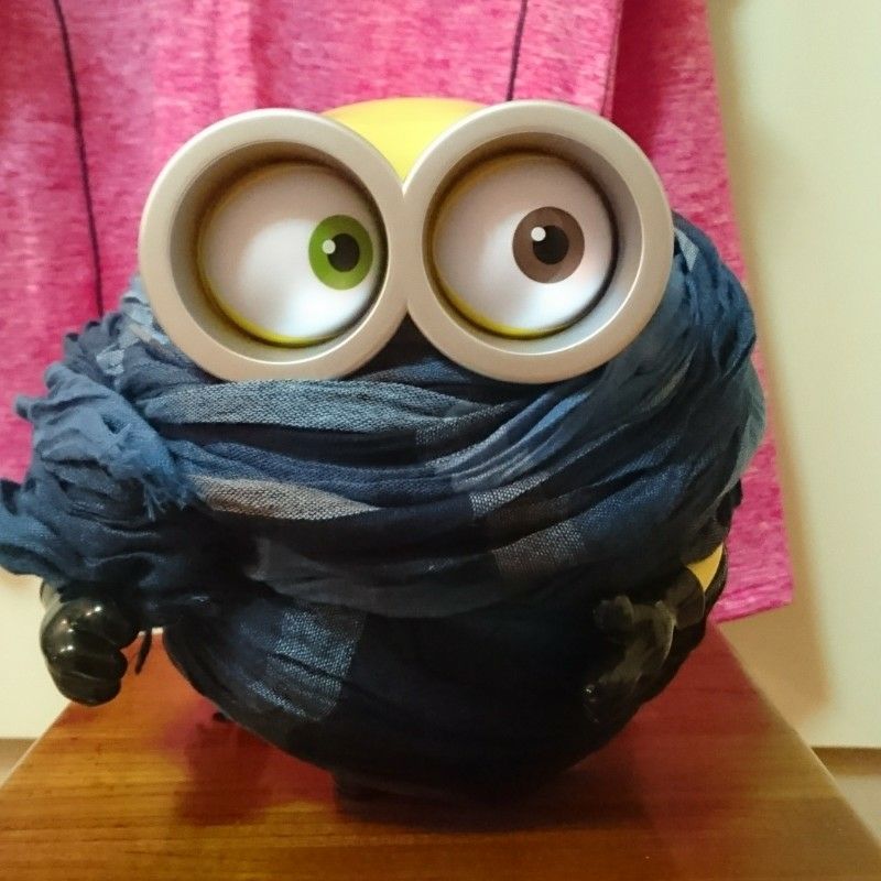 小雞