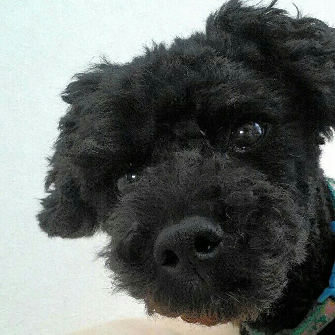 宮下（橋本)こず枝