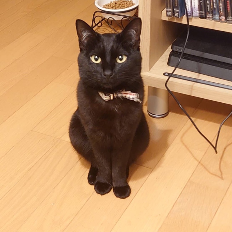 たまちゃん