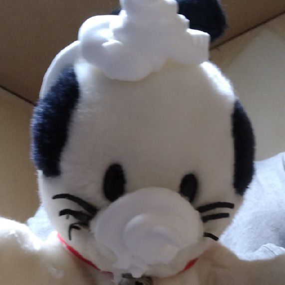 ㈲大友塗装店　大友正彦