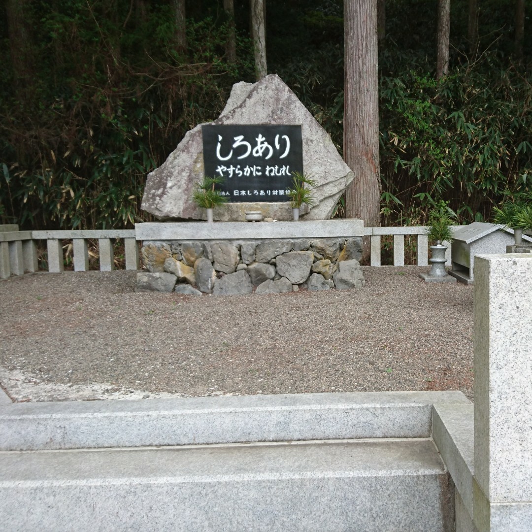 徳村聡
