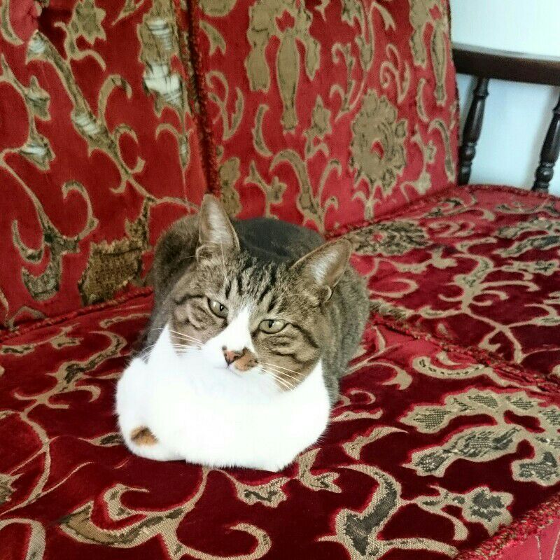 あいこかわぐち