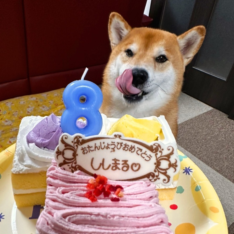 あ お き め ぐ み