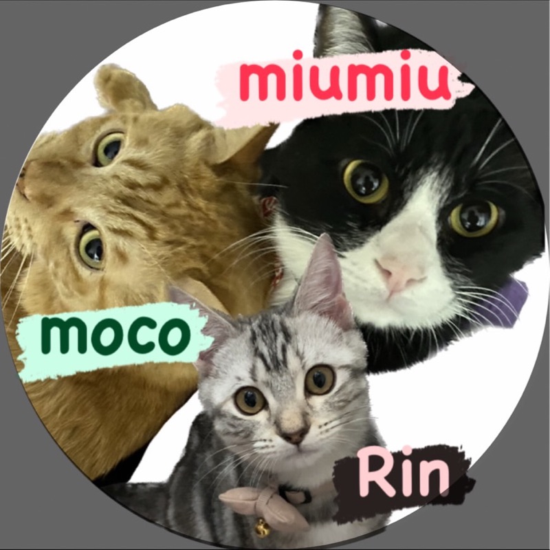 ゆきの湯めぐり