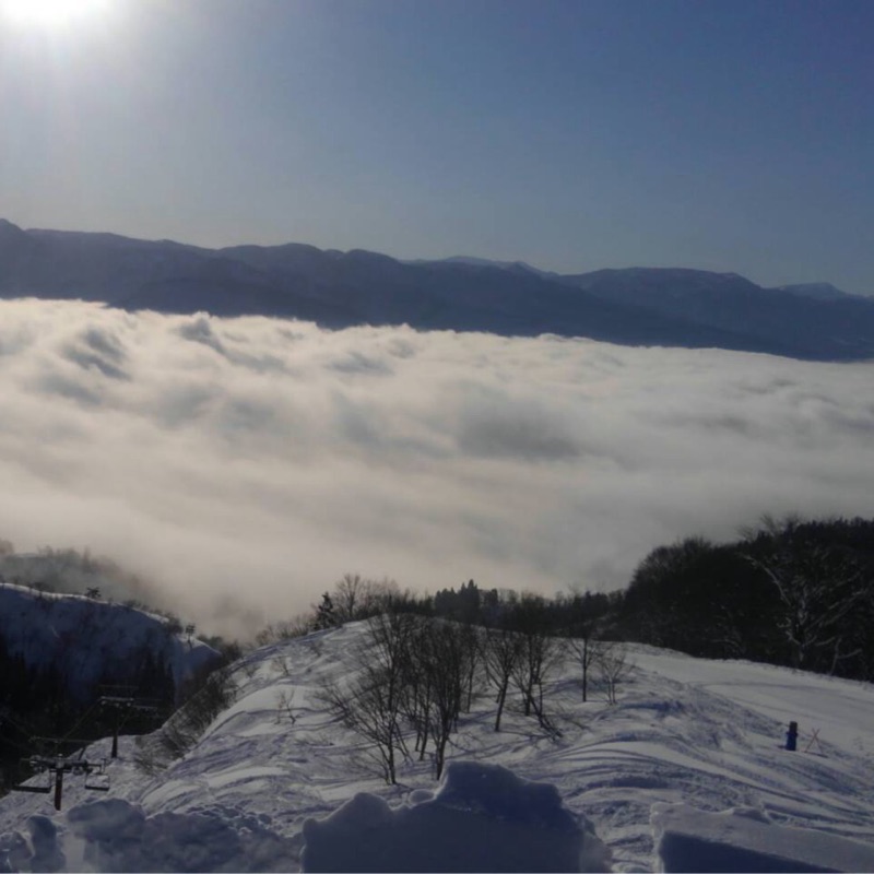 井ノ口 りょうこ