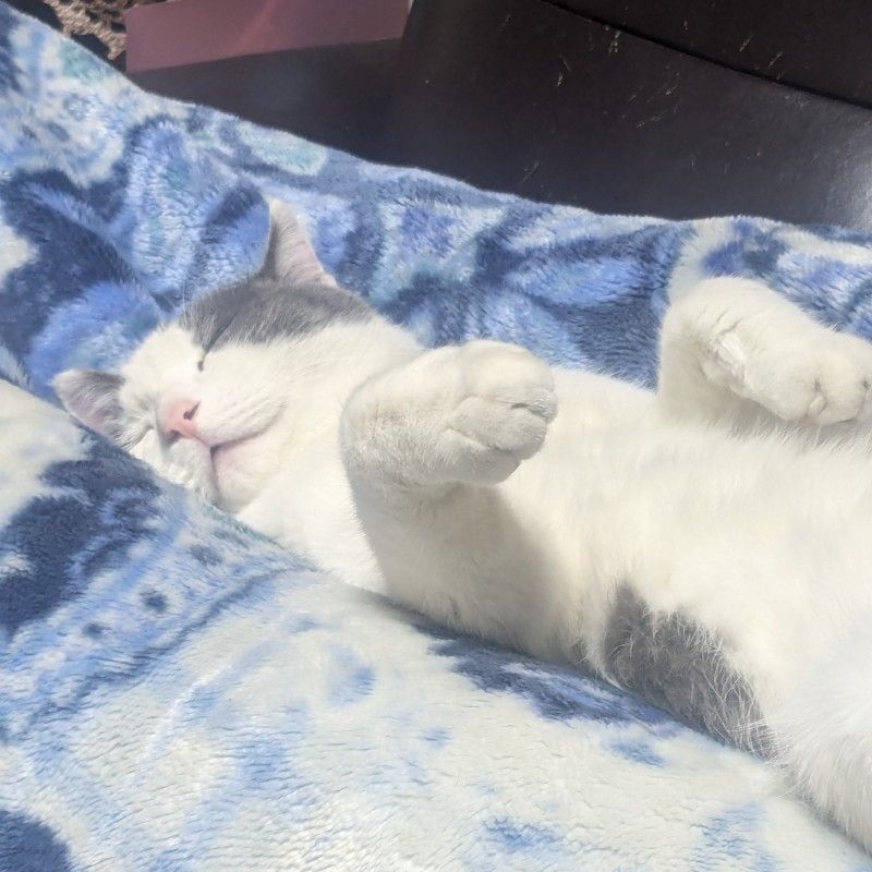 くどう　たくま