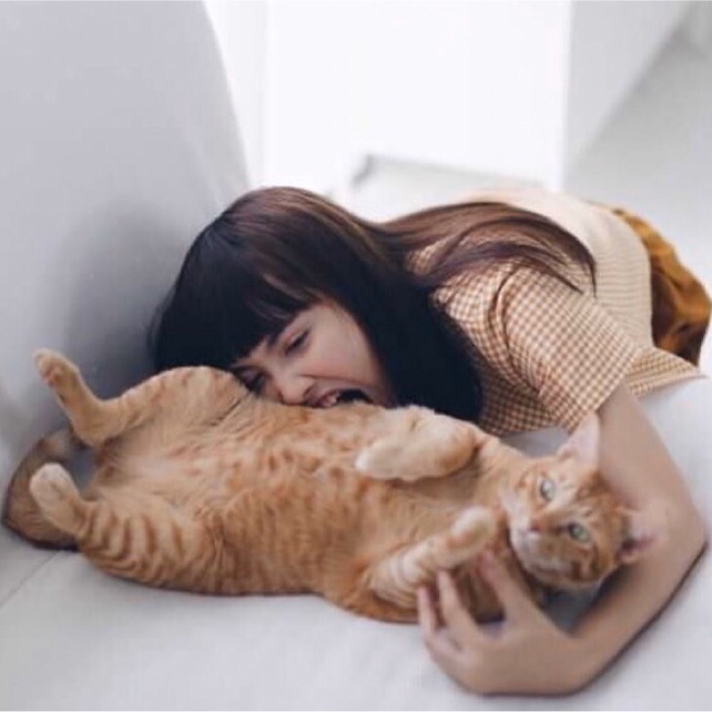 ปอย