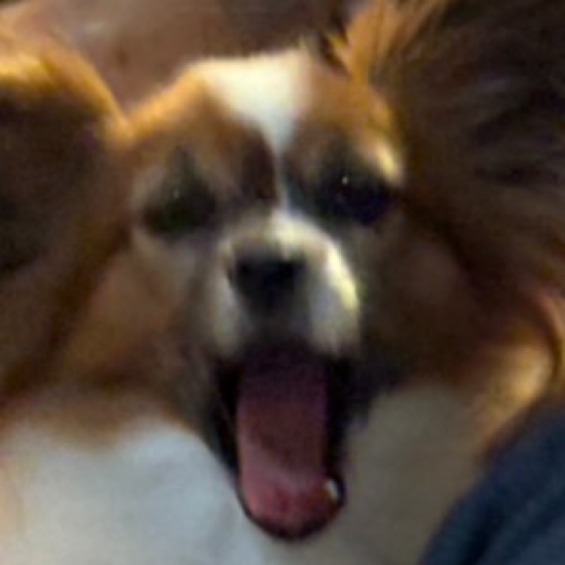 川俣 椋嵩(リョーシュー)