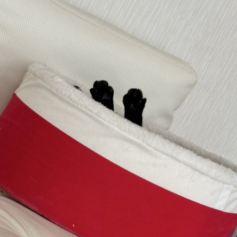 いまうら✿ゆみこ