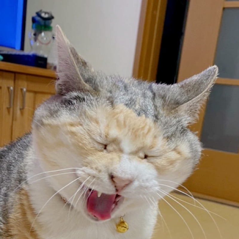 ごかせ観光協会