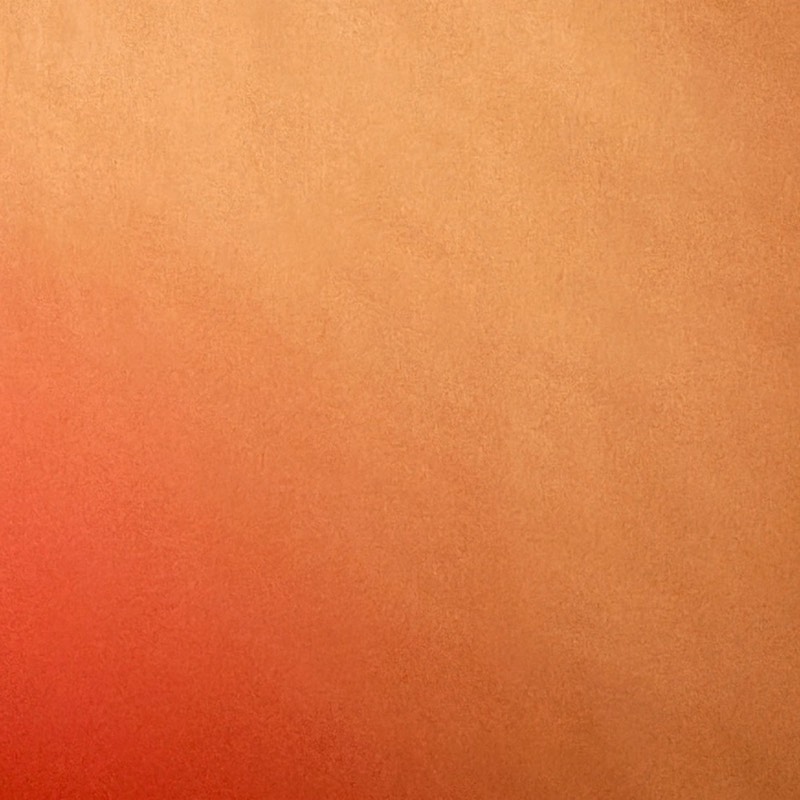 小林 太一 フェル