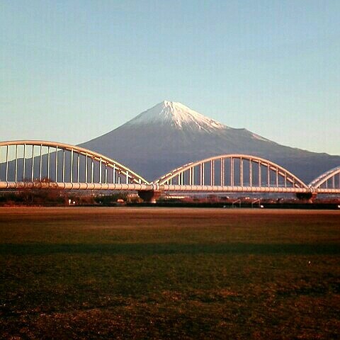 アキタイッチョウ