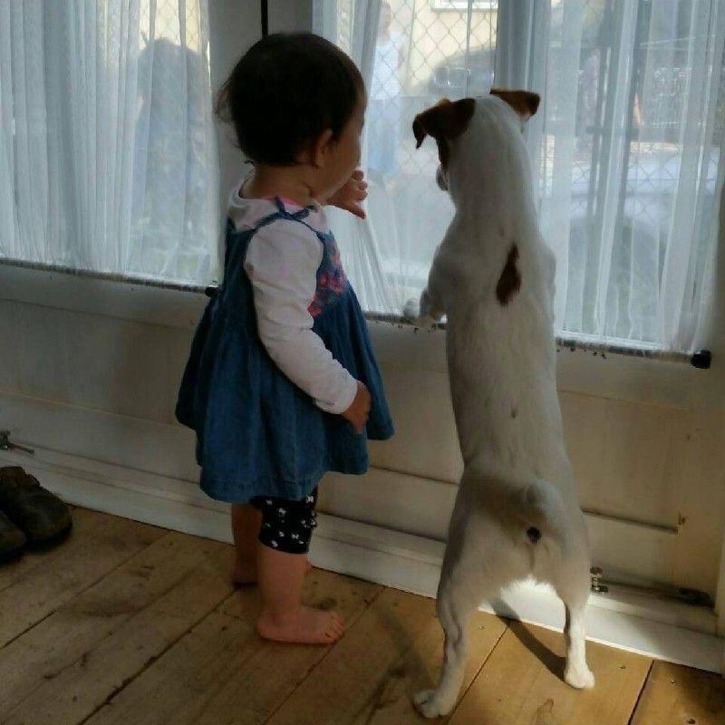 🙌AKINA🙌🇯🇵