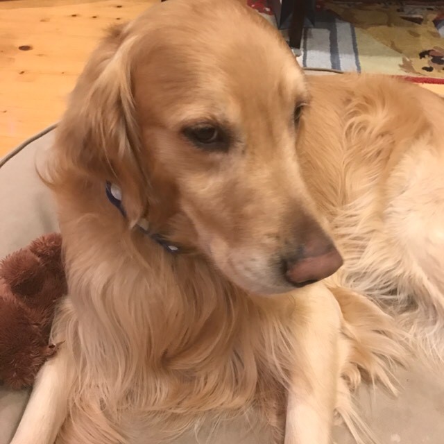 兼重ジュンイチ