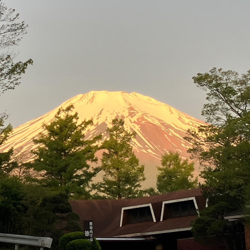 はらだ(さねよし)あやこ