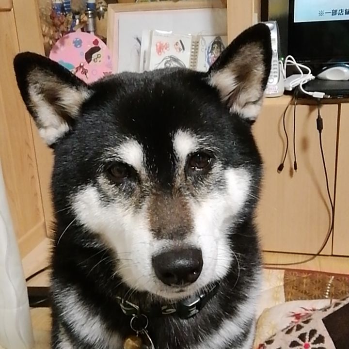 koromama　(かおる)