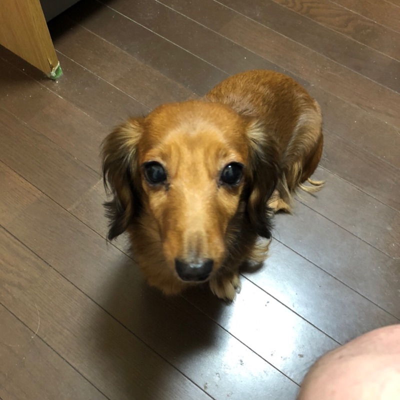 いしかわひろのぶ