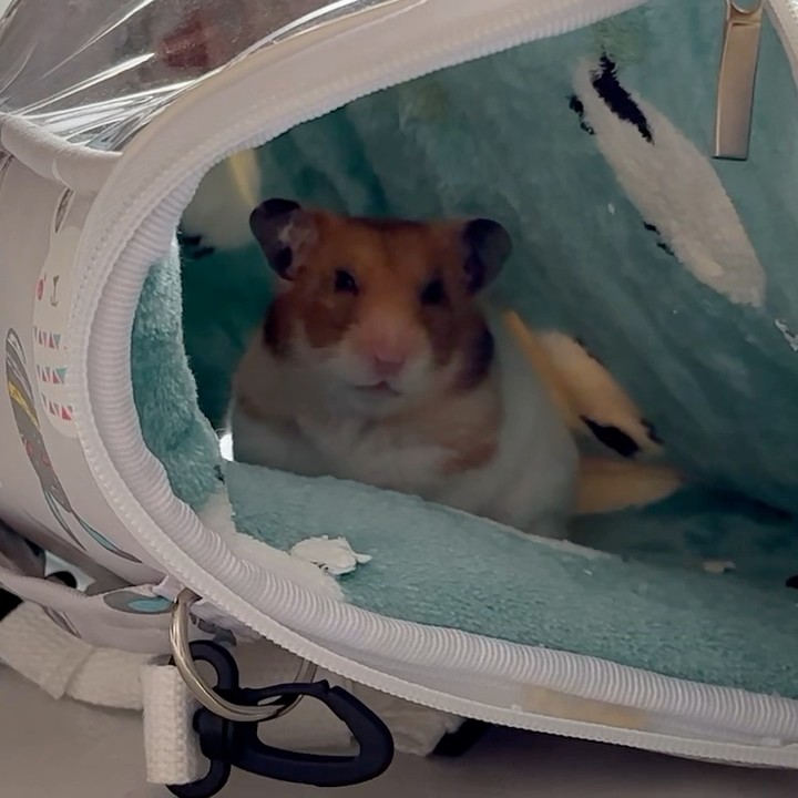 八木暢昭(N. Yagi)