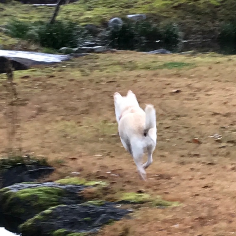 いべひろあき