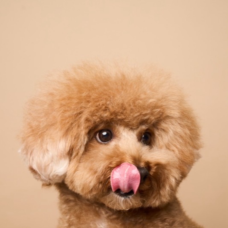 メルとしもぞの