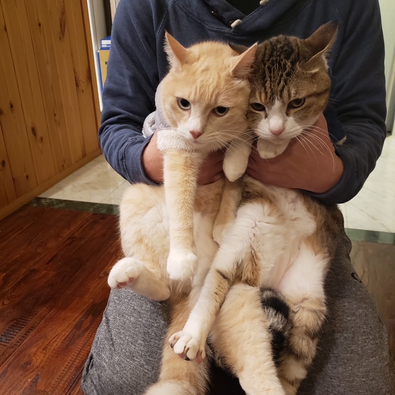 KIYOE（mitsuhashi）