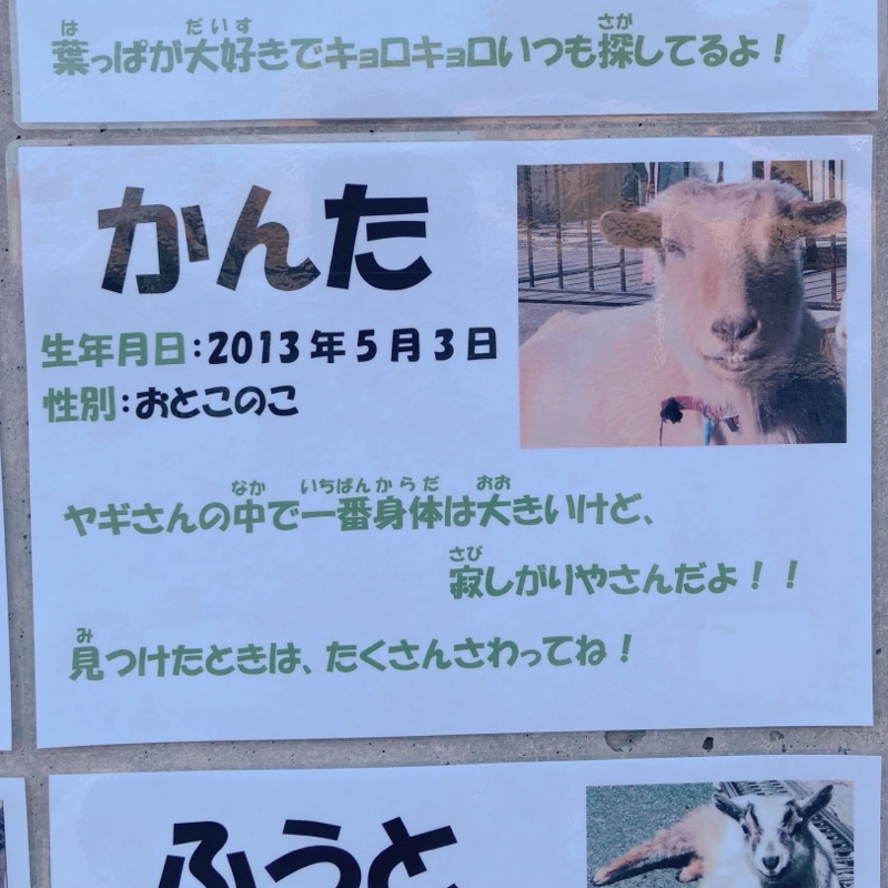 小原 貫太(ちゃも)