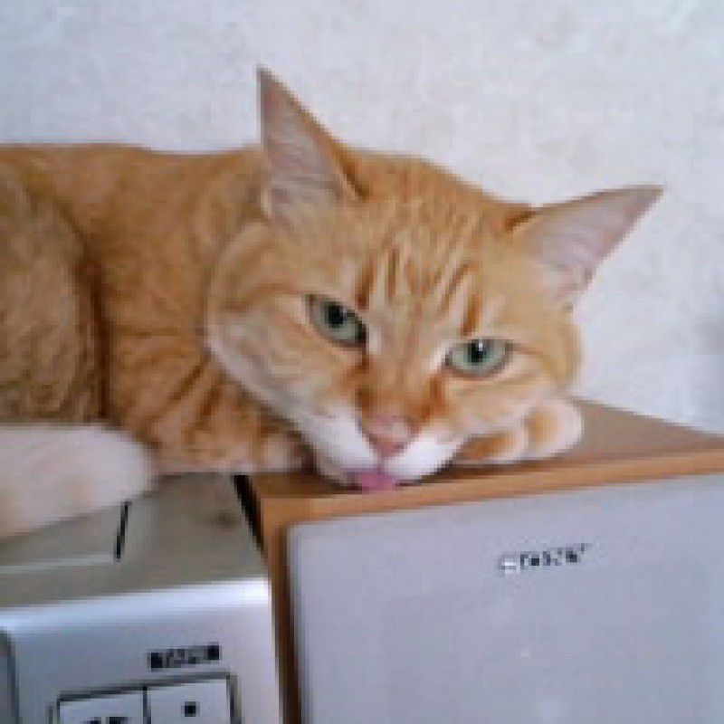 かわぞえさやか