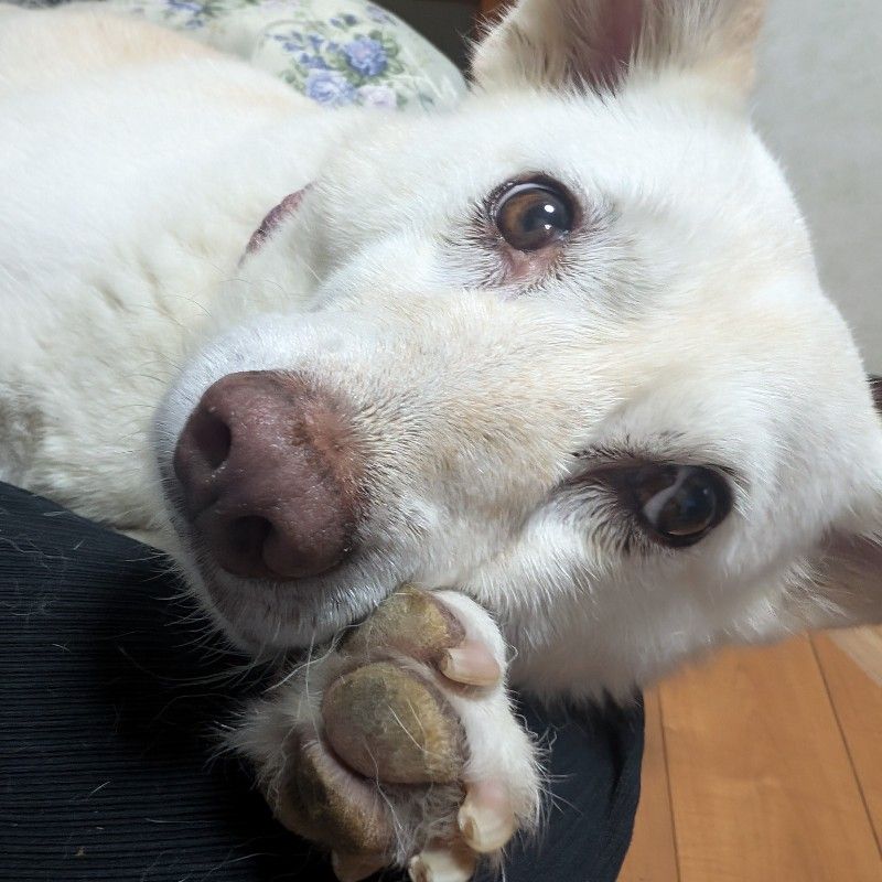 KEIKO K