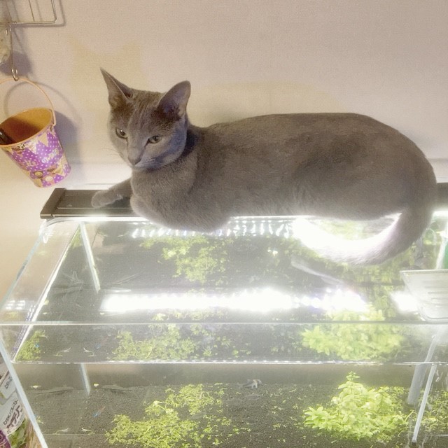 堀井  マサヒコ