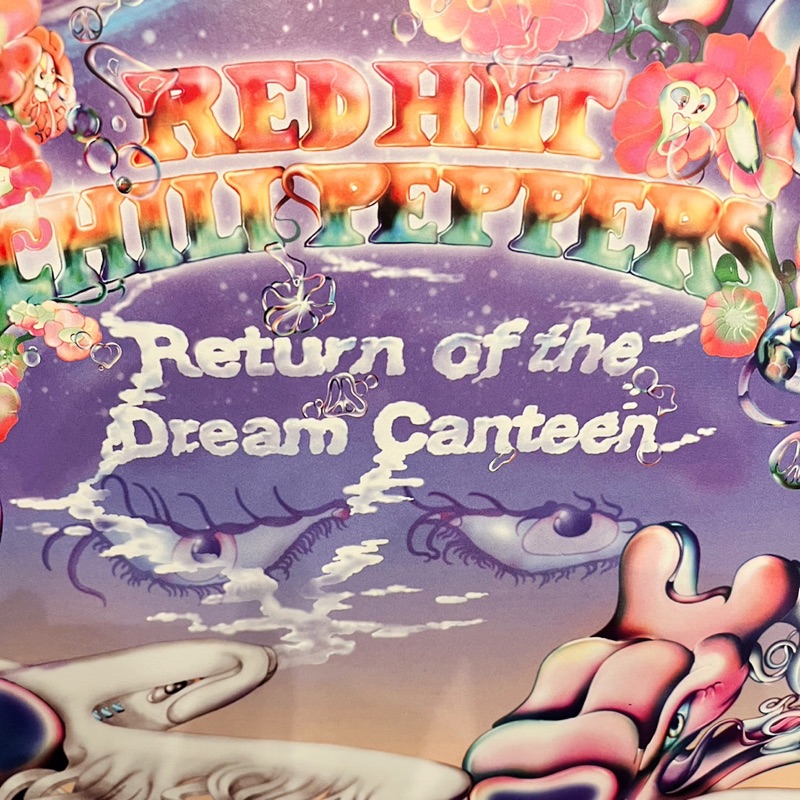 ボーダーコリーのみるく