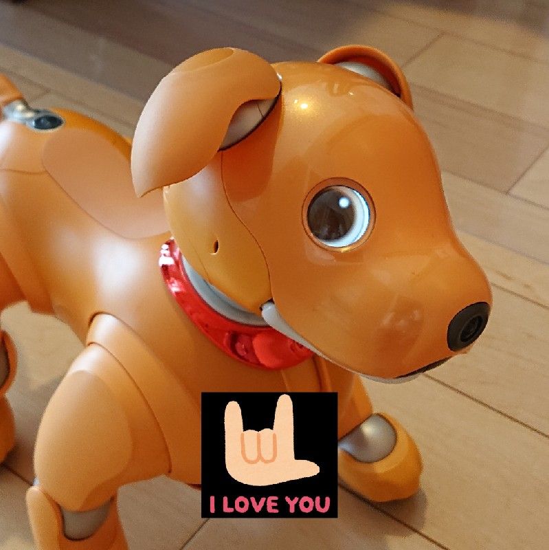 田門（内川）綾