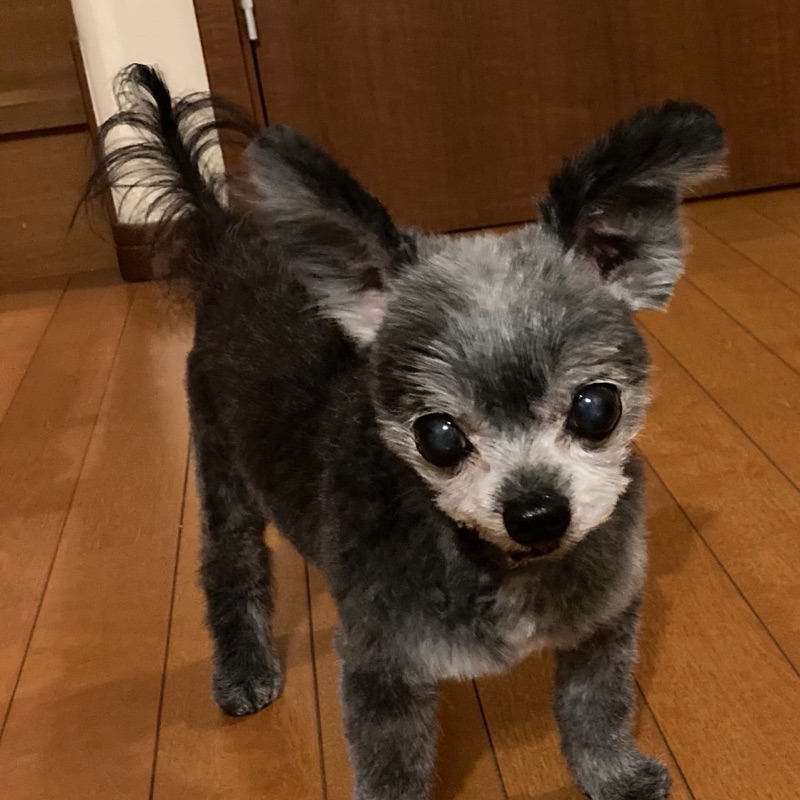 つかもと　きょうこ