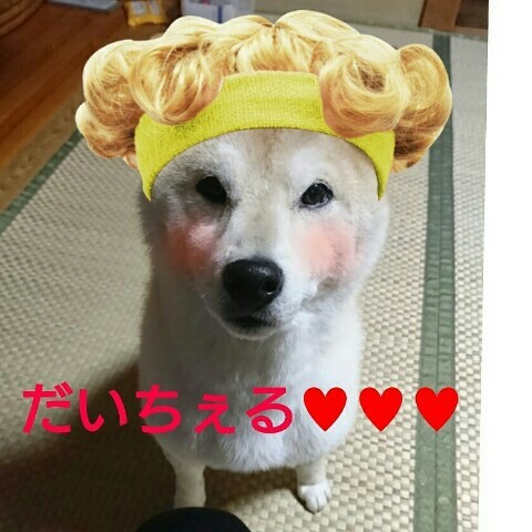 😃✨りか✨😃