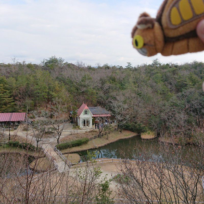 (*^-^)／hosokawa rie