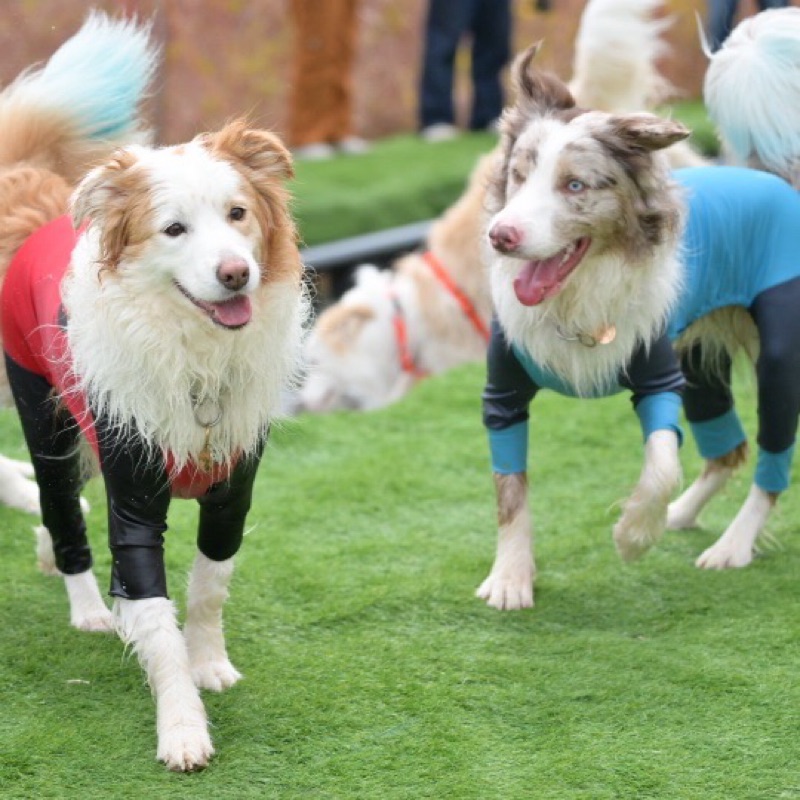 P@❤︎ll@☺︎※❤︎