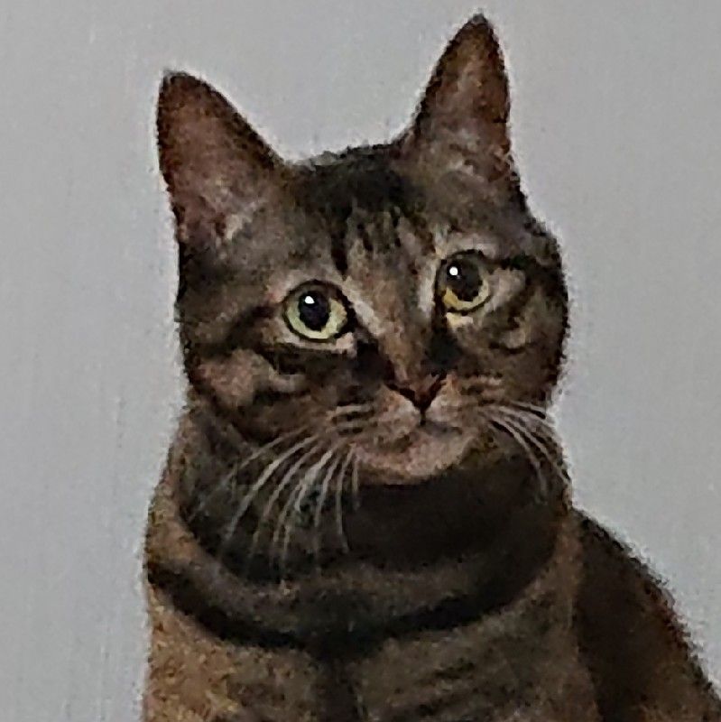 ヒラメ