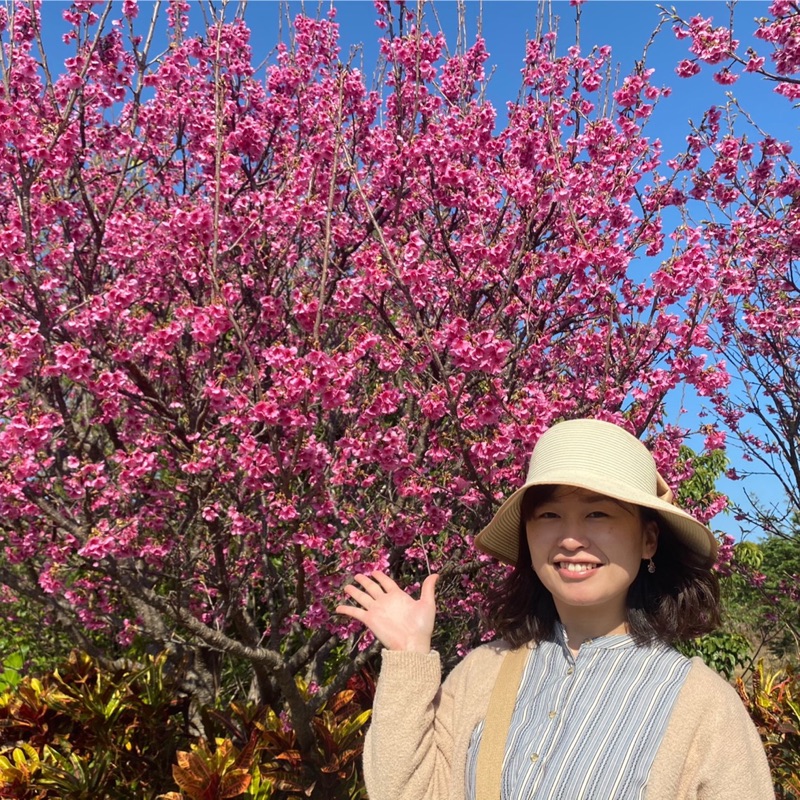 たけのしたまいこ
