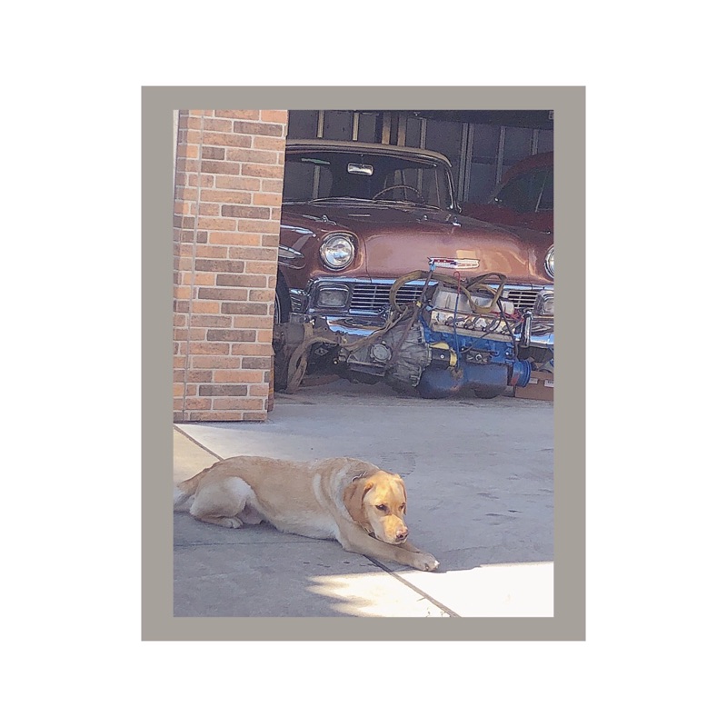 𝚈𝚄𝙺𝙰𝚁𝙸