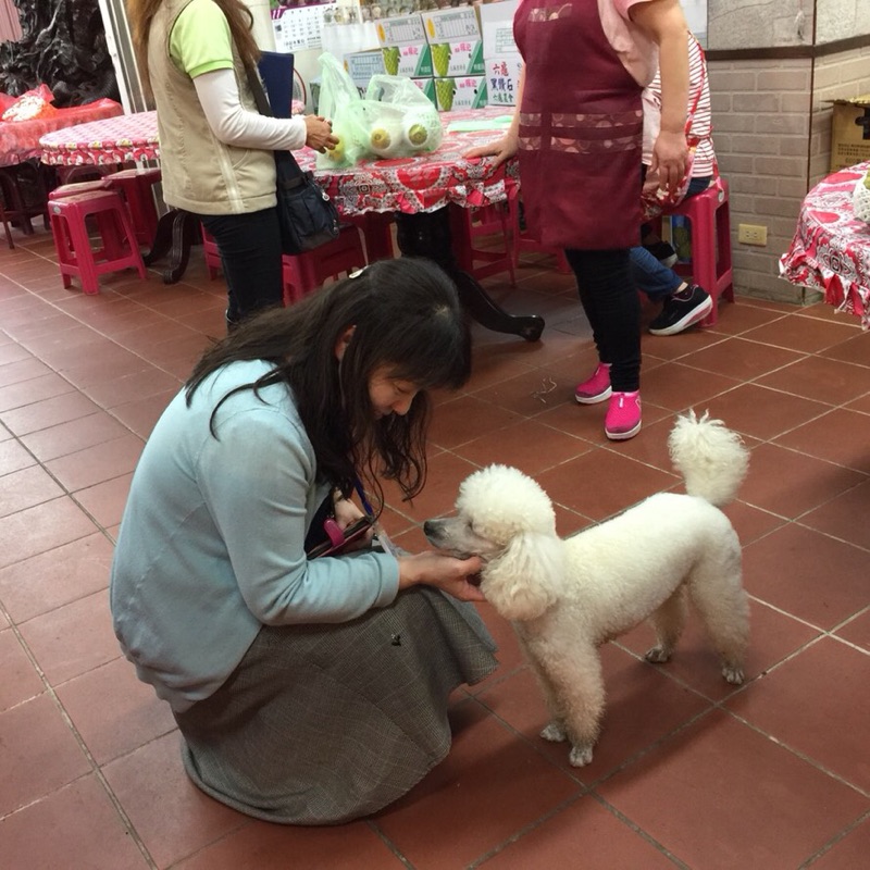 かわい　ともこ