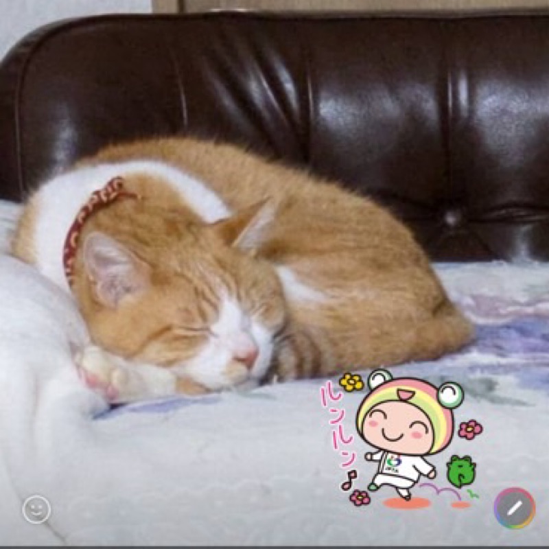 ふじわら　たけひと