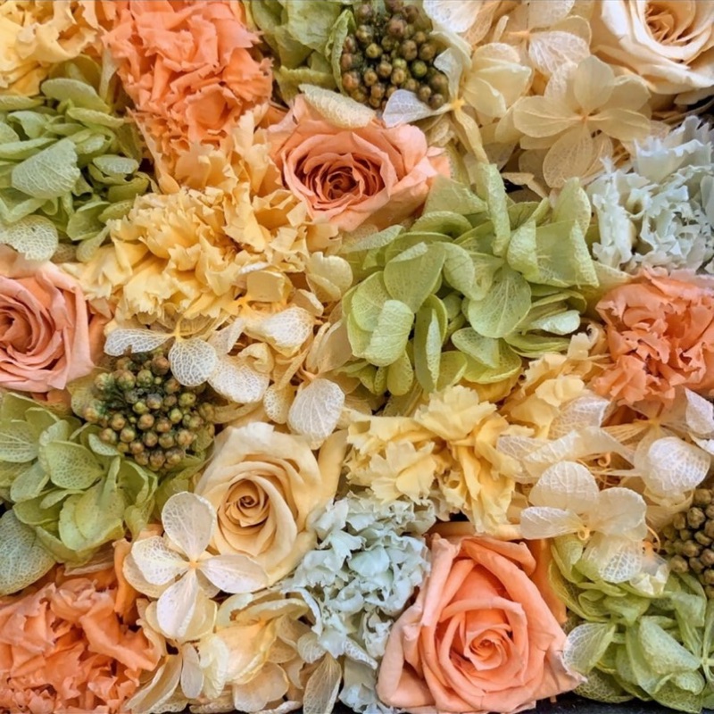 𝓝𝓸𝓻𝓲𝓴𝓸