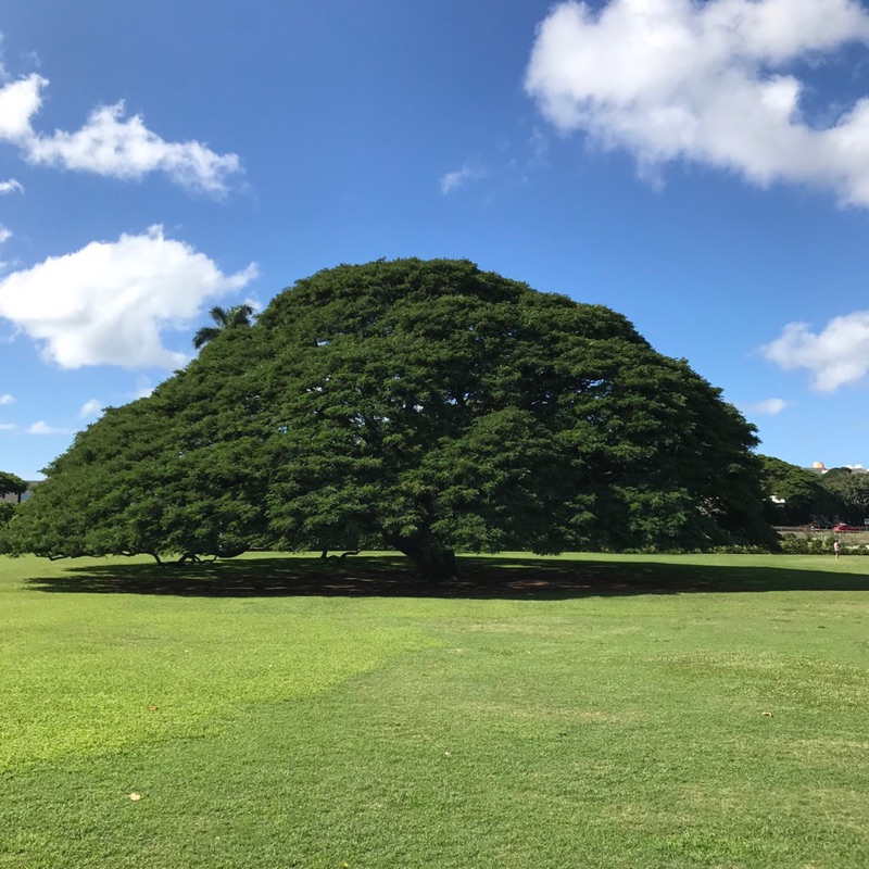 株式会社アットユーライフ